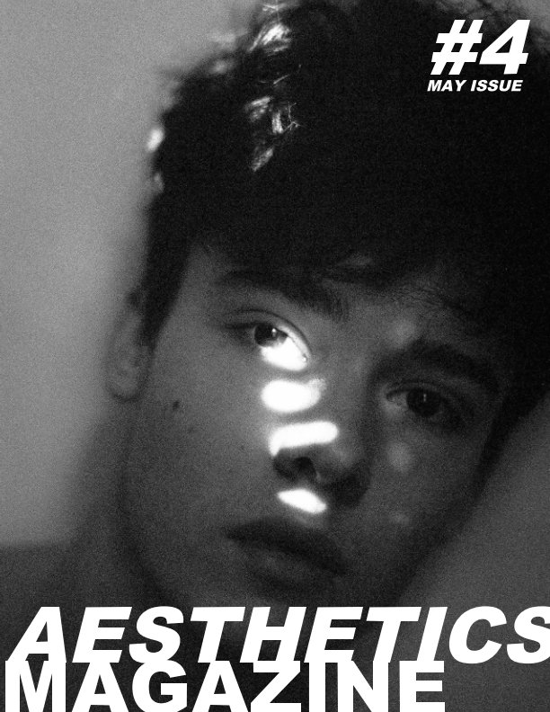 aesthetics magazine 4 by gertjan decock blurb books cover letter layout