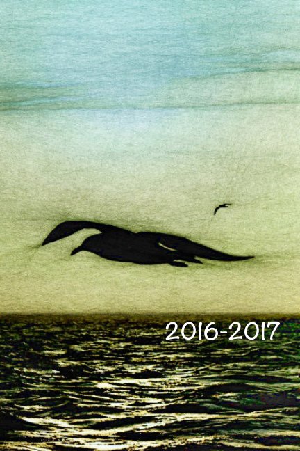 academic planner 2016 2017 by carole van camp blurb books