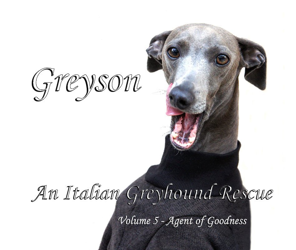 Greyson An Italian Greyhound Rescue By William Pelander Blurb Books Greyson An Italian Greyhound Rescue