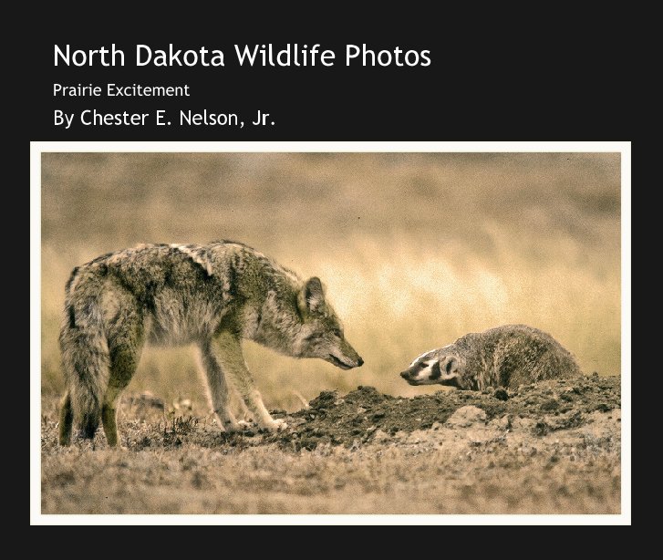 north dakota wildlife photos