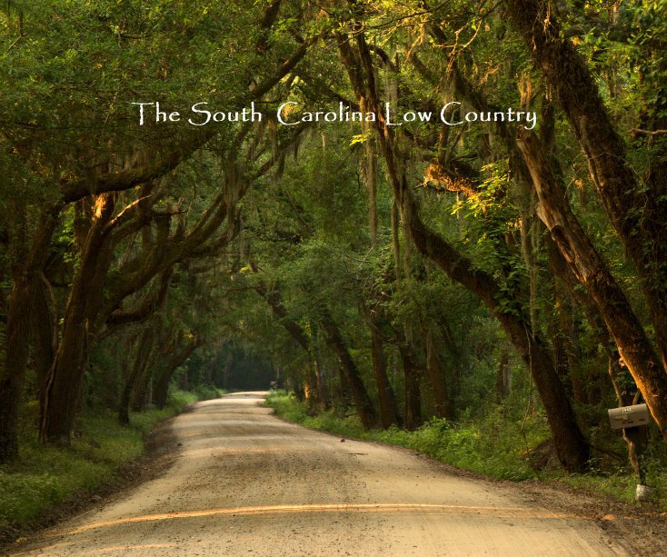 the-south-carolina-low-country-by-anncurriew-blurb-books