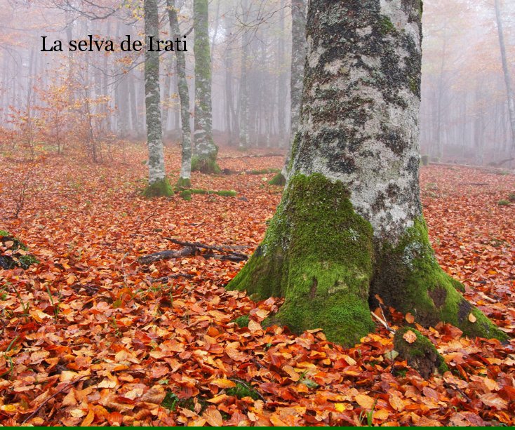 My Image 11
