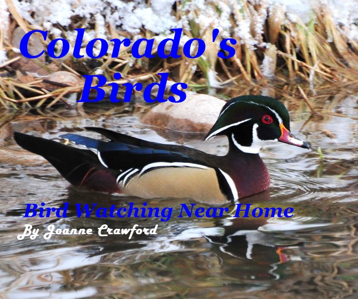 Colorado's Birds Bird Watching Near Home By Joanne Crawford by Joanne Crawford | Blurb Books