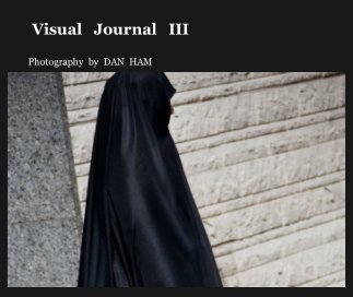 Visual   Journal   III book cover