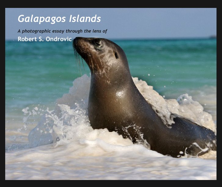 View Galapagos Islands by Robert S. Ondrovic
