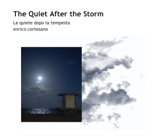 The Quiet After the Storm book cover