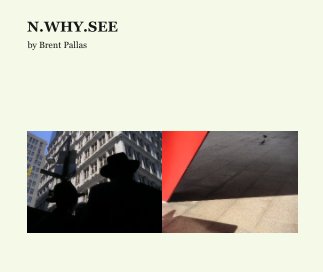 N.WHY.SEE book cover