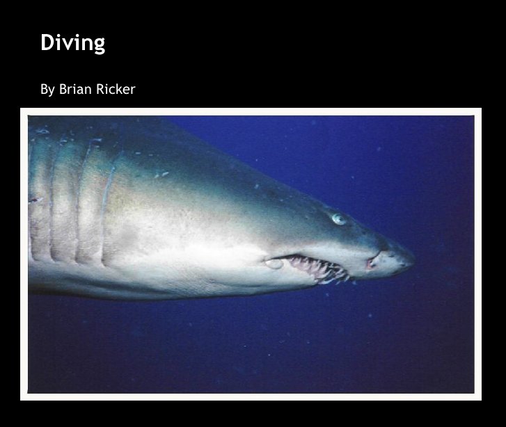 View Diving by Brian Ricker