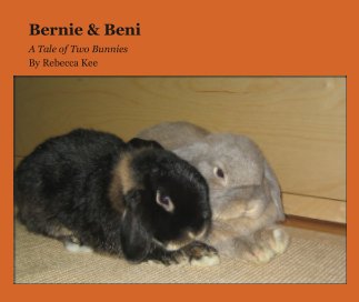 Bernie & Beni book cover
