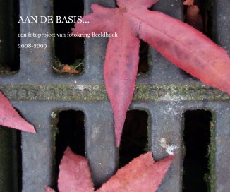 AAN DE BASIS... book cover