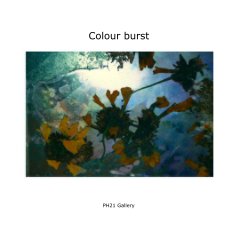 Colour burst book cover