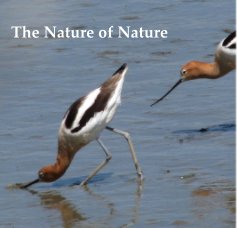The Nature of Nature book cover