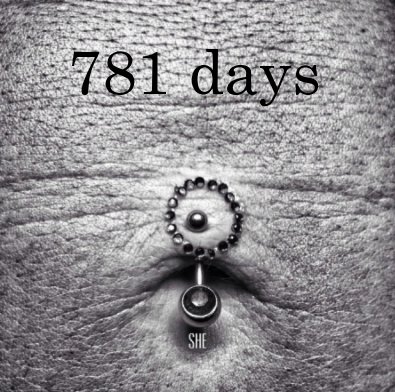 781 days book cover