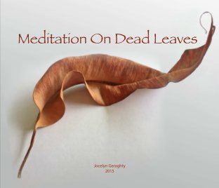 Meditation on Dead Leaves book cover