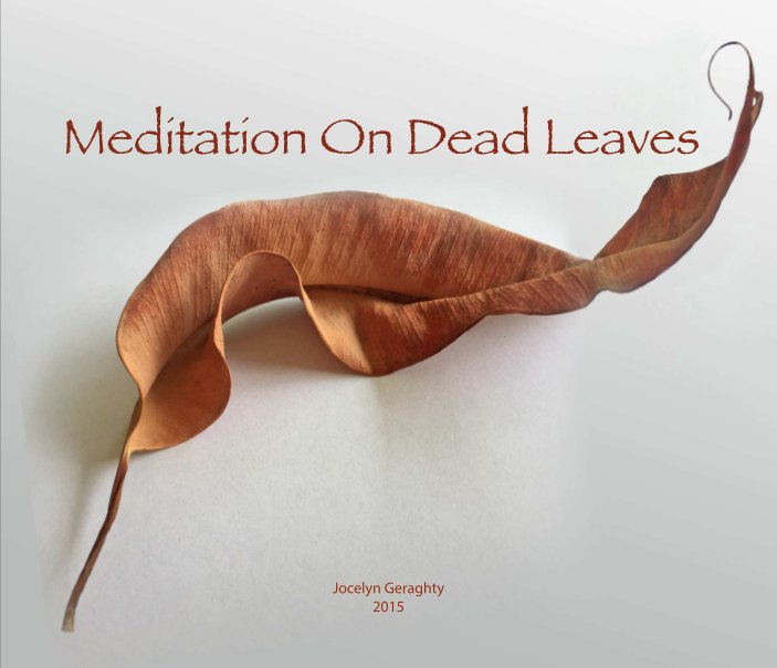 View Meditation on Dead Leaves by Jocelyn Geraghty