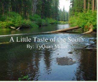 A Little Taste of the South book cover