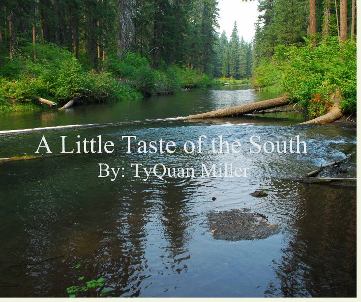 View A Little Taste of the South by TyQuan Miller
