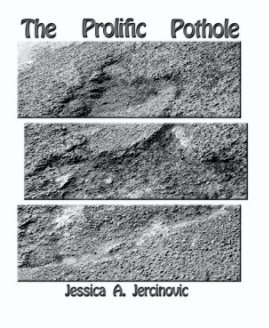 The Prolific Pothole book cover