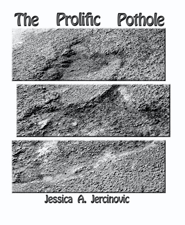 View The Prolific Pothole by Jessica A. Jercinovic