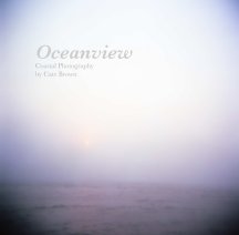 Oceanview 2015 book cover