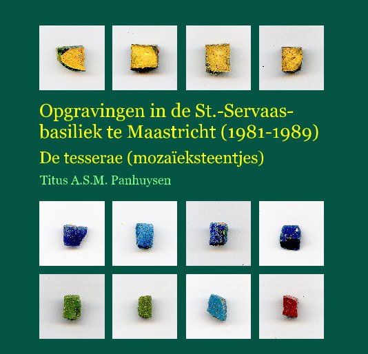 Visualizza Opgravingen in de St.-Servaas-basiliek te Maastricht (1981-1989) di Titus Panhuysen