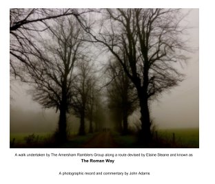 roman way-2 book cover