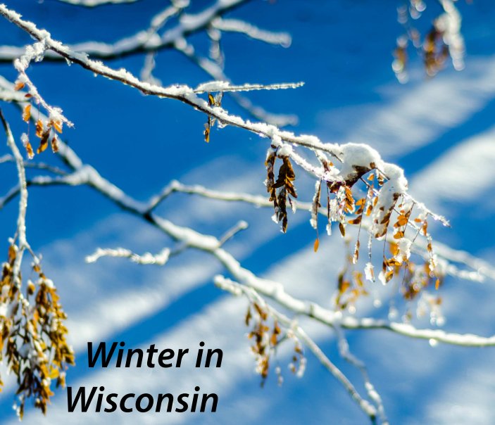 View Winter in Wisconsin by Frederick Austin