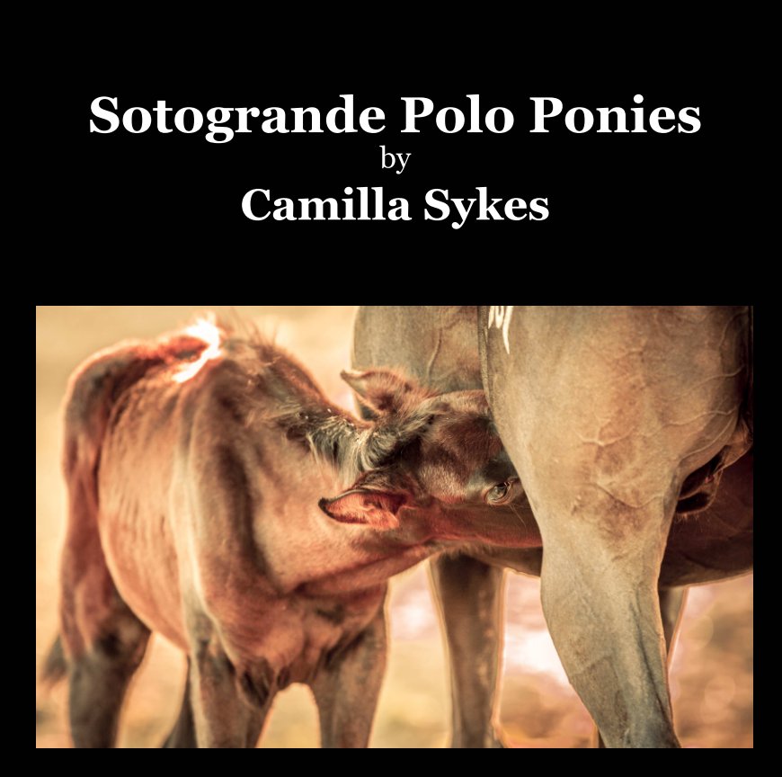 View Sotogrande Polo Ponies by Camilla Sykes