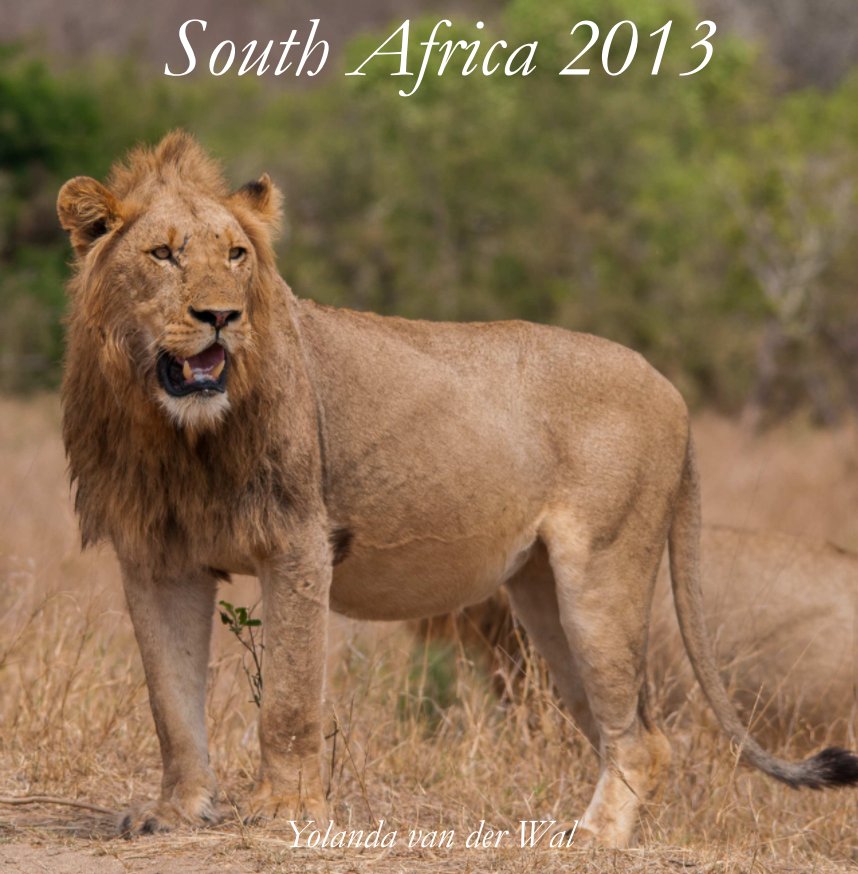 Ver South Africa 2013 por Yolanda van der Wal