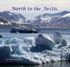 North to the Arctic book cover