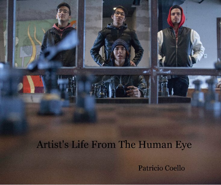 View Artist's Life From The Human Eye by Patricio Coello