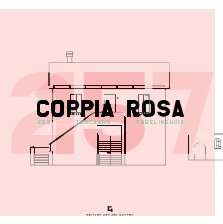 Coppia Rosa book cover