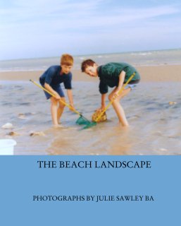 THE BEACH LANDSCAPE book cover
