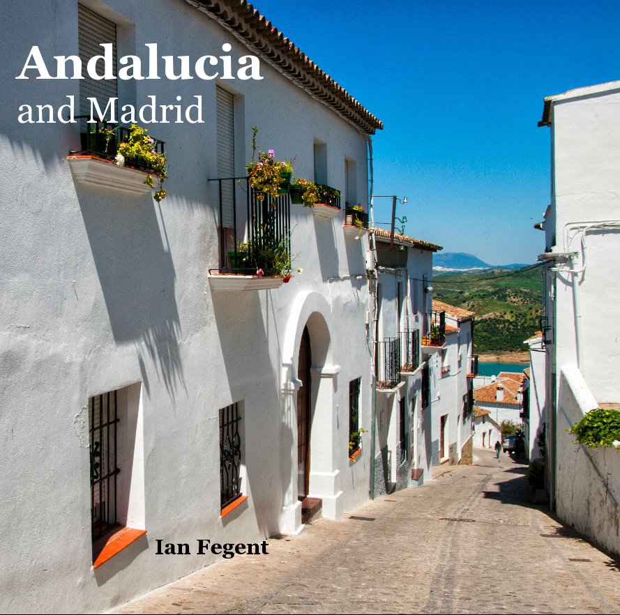 View Andalucia and Madrid by Ian Fegent