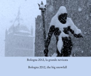 Bologna 2012, la grande nevicata book cover