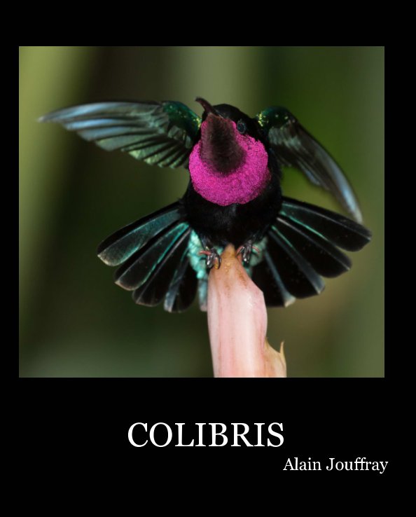 View COLIBRIS by Alain Jouffray