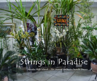 Strings in Paradise book cover