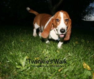 Twinkie's Walk book cover