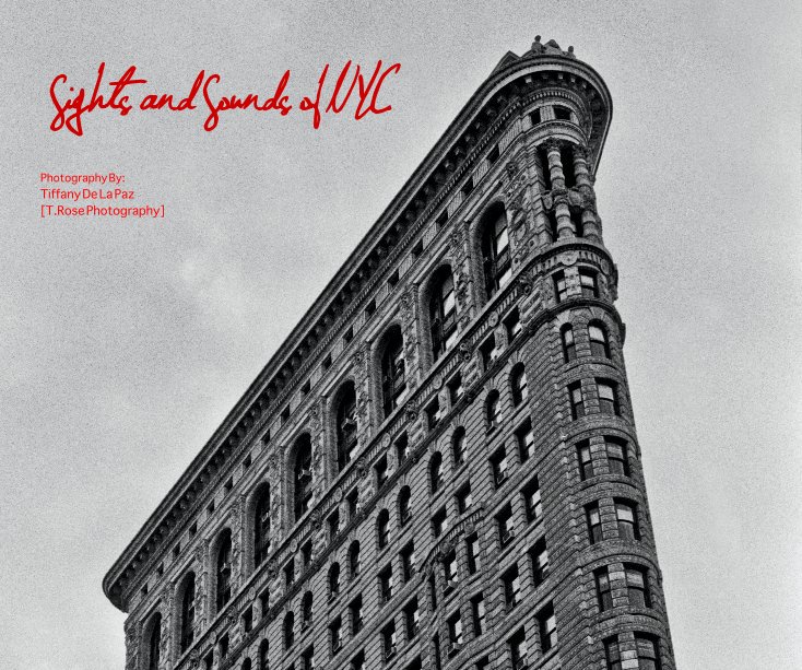Sights and Sounds of NYC nach Tiffany De La Paz {T.Rose Photography} anzeigen