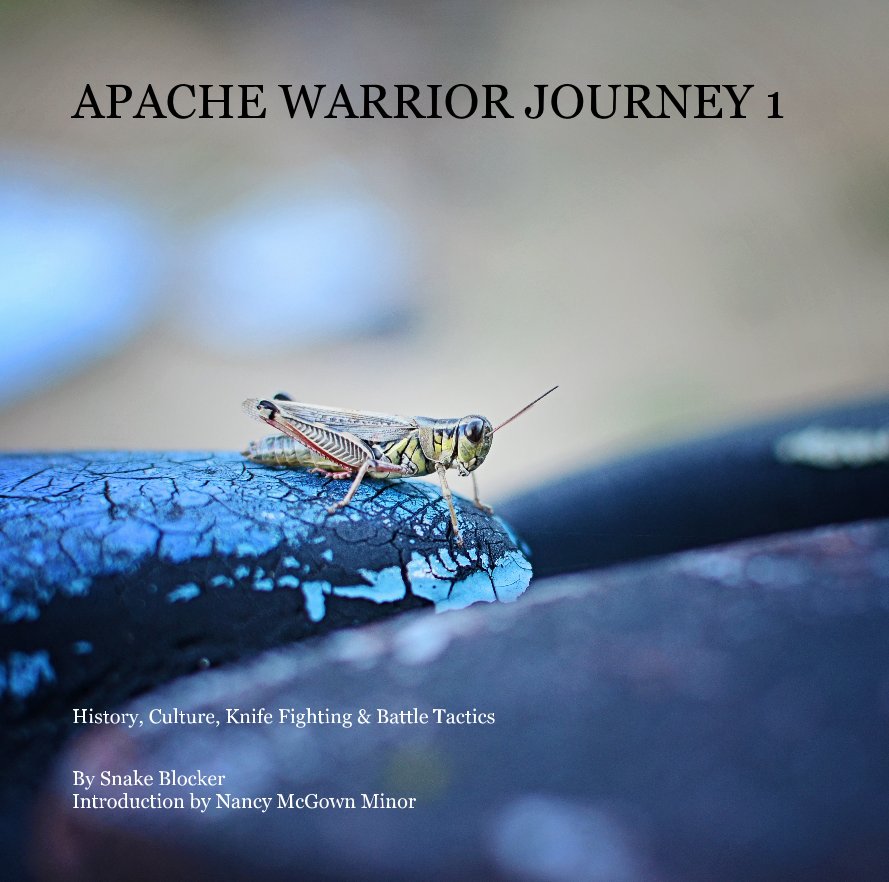 Visualizza APACHE WARRIOR JOURNEY 1 di Snake Blocker Introduction by Nancy McGown Minor