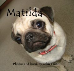 Matilda the Pug book cover