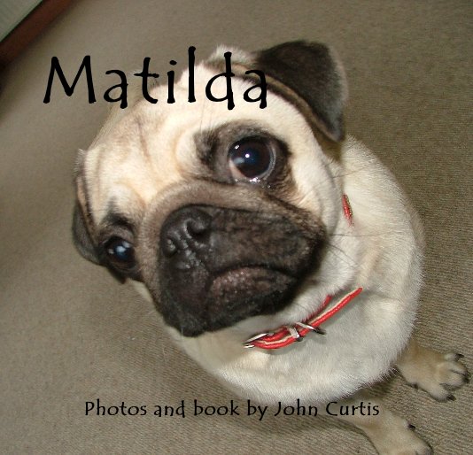 Visualizza Matilda the Pug di John Curtis