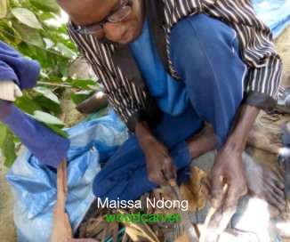 Maissa Ndong woodcarver book cover