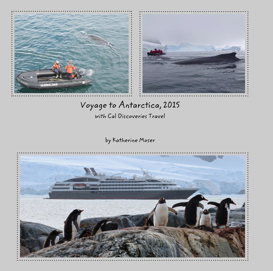 View Voyage to Antarctica, 2015 with Cal Discoveries Travel by Katherine Moser by Katherine Moser