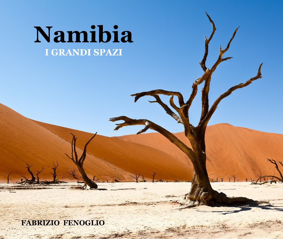 View Namibia by FABRIZIO FENOGLIO