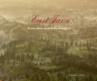 East Java book cover