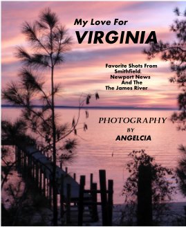 My Love For VIRGINIA book cover