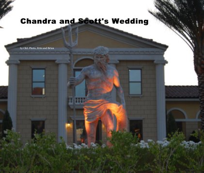 Chandra Wedding and Trip book cover