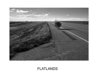 Flatlands book cover