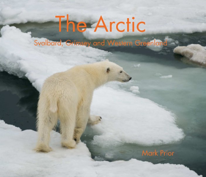 View The Arctic by Mark Prior
